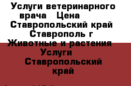 Услуги ветеринарного врача › Цена ­ 300 - Ставропольский край, Ставрополь г. Животные и растения » Услуги   . Ставропольский край